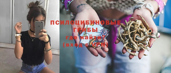 первитин Арсеньев