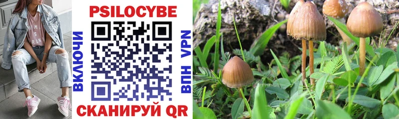ссылка на мегу как войти  Рыбное  Галлюциногенные грибы GOLDEN TEACHER 
